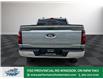 2025 Ford F-150 XLT (Stk: FS15693) in Windsor - Image 6 of 28