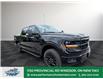 2025 Ford F-150 XLT (Stk: FS15798) in Windsor - Image 10 of 28
