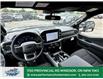 2025 Ford F-150 XLT (Stk: FS15798) in Windsor - Image 16 of 28
