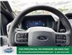 2025 Ford F-150 XLT (Stk: FS15798) in Windsor - Image 24 of 28