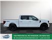 2025 Ford F-150 XLT (Stk: FS16368) in Windsor - Image 9 of 27