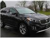 2017 Kia Sorento 2.0L SX (Stk: DK984) in Vancouver - Image 8 of 25