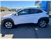 2022 Hyundai Kona 2.0L Preferred (Stk: 25284A) in Campbellton - Image 3 of 13