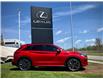 2023 Infiniti QX50 Sport (Stk: 240227B) in Calgary - Image 2 of 24