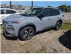 2023 Nissan Rogue Platinum (Stk: P816) in Sarnia - Image 1 of 3