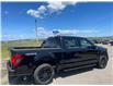 2025 Ford F-150 XLT (Stk: 25T9664) in Pincher Creek - Image 8 of 20