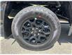 2025 Ford F-150 XLT (Stk: 25T9664) in Pincher Creek - Image 10 of 20