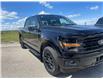 2025 Ford F-150 XLT (Stk: 25T9664) in Pincher Creek - Image 9 of 20