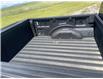 2025 Ford F-150 XLT (Stk: 25T9664) in Pincher Creek - Image 6 of 20