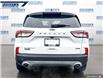 2020 Ford Escape Titanium Hybrid (Stk: P9481) in Dartmouth - Image 5 of 24
