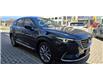 2021 Mazda CX-9 GT (Stk: PM4463) in Ottawa - Image 10 of 27