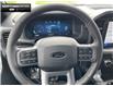 2025 Ford F-150 XLT (Stk: 5F121727) in Brantford - Image 12 of 23