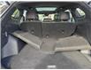 2023 Kia Sportage X-Line Limited w/Green Interior in Ottawa - Image 21 of 41