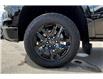 2024 Chevrolet Silverado 1500 LT Trail Boss (Stk: 57640U) in Calgary - Image 7 of 33