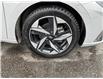 2023 Hyundai Elantra Luxury (Stk: 250537) in Ottawa - Image 22 of 22