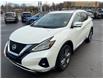 2023 Nissan Murano Platinum (Stk: 250318) in Ottawa - Image 7 of 27
