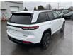 2023 Jeep Grand Cherokee Limited (Stk: 250396) in Ottawa - Image 3 of 25