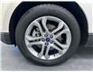 2016 Ford Edge Titanium (Stk: 15347) in Lethbridge - Image 19 of 20