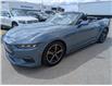 2024 Ford Mustang EcoBoost Premium (Stk: 19191) in Calgary - Image 1 of 20