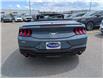 2024 Ford Mustang EcoBoost Premium (Stk: 19191) in Calgary - Image 4 of 20