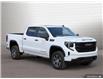 2025 GMC Sierra 1500 Pro (Stk: 25637) in Orangeville - Image 7 of 32