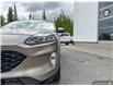 2020 Ford Escape Titanium (Stk: 5628A) in Vanderhoof - Image 7 of 21