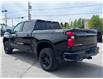 2024 Chevrolet Silverado 1500 Custom Trail Boss (Stk: W9013) in Uxbridge - Image 6 of 9