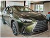 2025 Lexus NX 350h Base (Stk: 6767) in Kingston - Image 3 of 15
