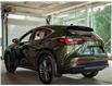 2025 Lexus NX 350h Base (Stk: 6767) in Kingston - Image 4 of 15
