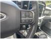 2023 Ford F-150 Tremor (Stk: T5074A) in Kamloops - Image 16 of 26