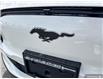 2025 Ford Mustang Mach-E Premium (Stk: K3S01424) in Richmond - Image 9 of 25