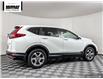 2019 Honda CR-V EX-L (Stk: 25D566A) in Chilliwack - Image 14 of 36