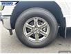 2025 Ford F-150 XLT (Stk: 27200) in Dartmouth - Image 7 of 24