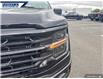 2025 Ford F-150 XLT (Stk: 27187) in Dartmouth - Image 8 of 24