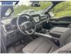 2025 Ford F-150 XLT (Stk: 27187) in Dartmouth - Image 12 of 24