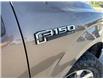 2018 Ford F-150  (Stk: X045467A) in Cranbrook - Image 15 of 16