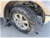 2018 Ford F-150  (Stk: X045467A) in Cranbrook - Image 16 of 16
