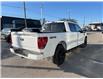 2025 Ford F-150 XLT (Stk: VF1F00616) in Chatham - Image 4 of 21