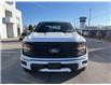 2025 Ford F-150 XLT (Stk: VF1F00616) in Chatham - Image 6 of 21