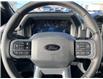 2025 Ford F-150 XLT (Stk: VF1F00616) in Chatham - Image 14 of 21
