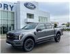 2025 Ford F-150 Lariat (Stk: VF1F00844) in Chatham - Image 22 of 22