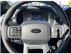 2025 Ford F-150 Lariat (Stk: VF1F00881) in Chatham - Image 14 of 21