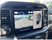 2025 Ford F-150 Lariat (Stk: VF1F00881) in Chatham - Image 20 of 21