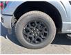 2025 Ford F-150 XLT (Stk: VF1F00921) in Chatham - Image 7 of 19