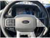 2025 Ford F-150 XLT (Stk: VF1F00921) in Chatham - Image 14 of 19
