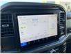 2025 Ford F-150 XLT (Stk: VF1F00921) in Chatham - Image 17 of 19