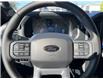 2025 Ford F-150 XLT (Stk: VF1F00886) in Chatham - Image 15 of 22