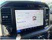 2025 Ford F-150 XLT (Stk: VF1F00886) in Chatham - Image 19 of 22