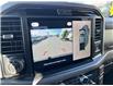 2025 Ford F-150 XLT (Stk: VF1F00886) in Chatham - Image 21 of 22