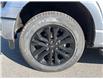 2025 Ford F-150 XLT (Stk: VF1F00929) in Chatham - Image 7 of 22